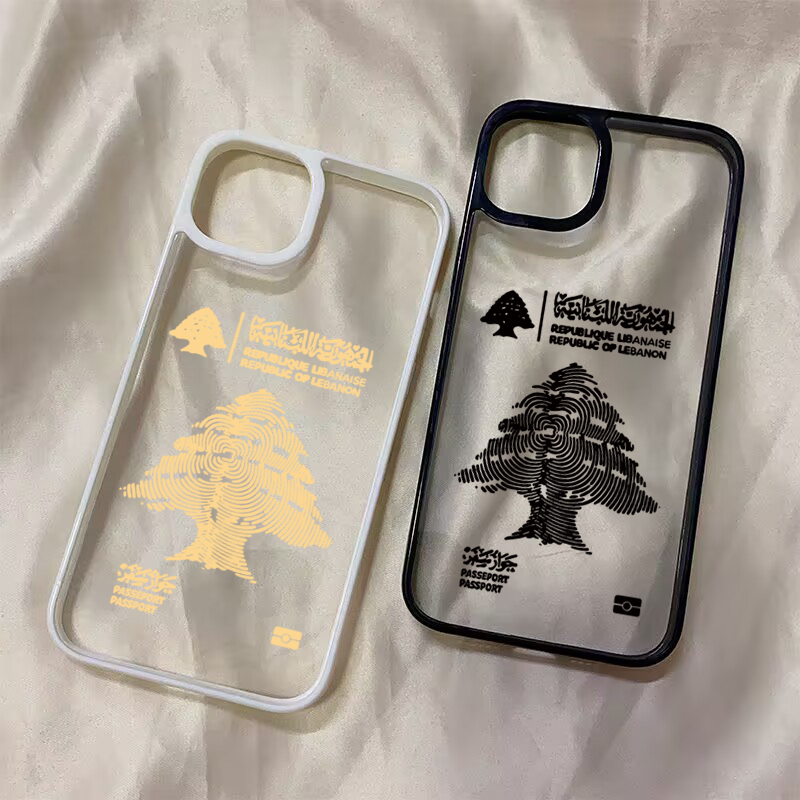 Custodia Antiurto per iPhone 1 - Phone Cases Xs Max recensione e prezzo